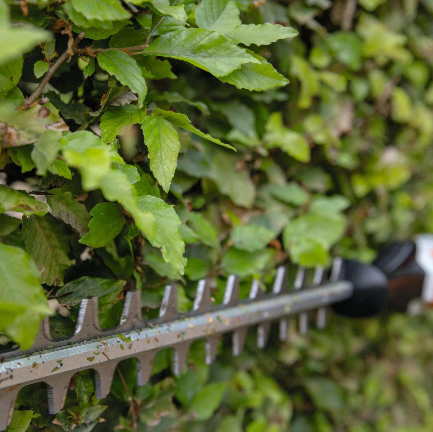Stihl Akku-Heckenschneider HLA 66 Detailansicht