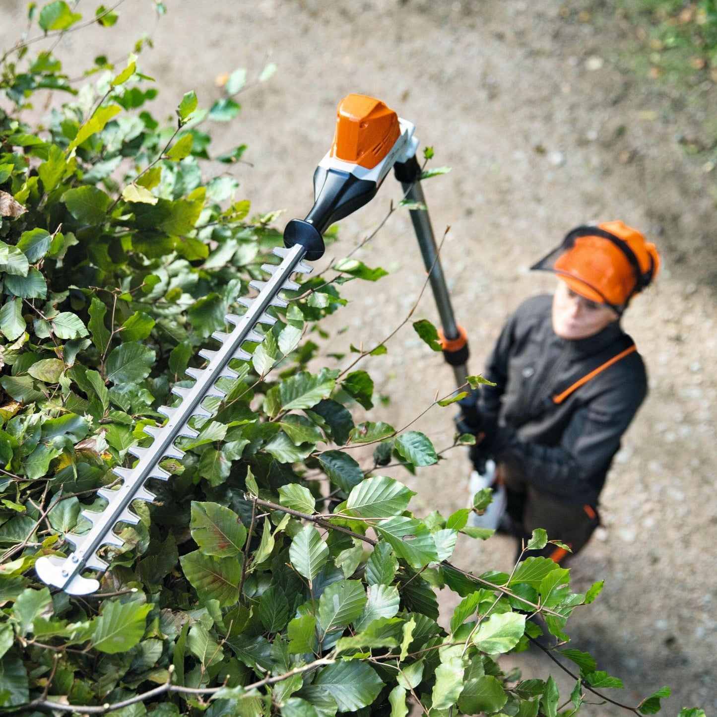 Stihl Akku-Heckenschneider HLA 86 in Aktion