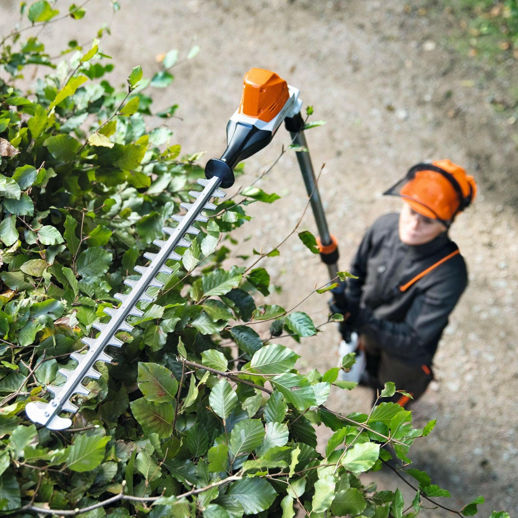 Stihl Akku-Heckenschneider HLA 86 in Aktion