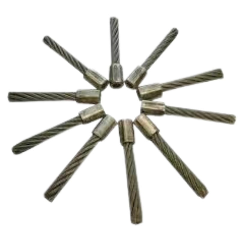 Tielbürger Benzin-Unkrautbürstenmaschine TW50X