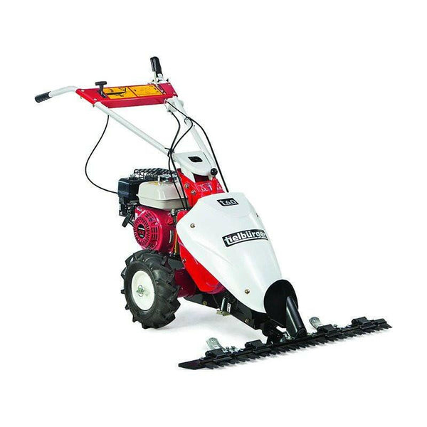 Tielbürger Benzin-Balkenmäher T 60