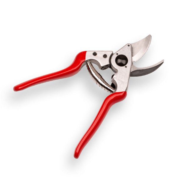 Felco 14 Astschere