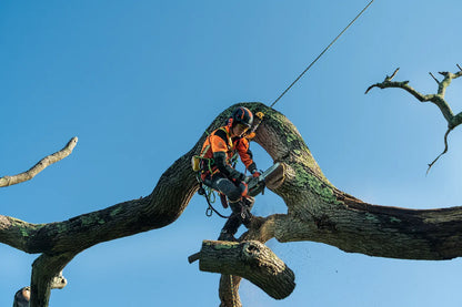 Husqvarna T540i XP® G Akku-Kettensäge (Top-Handle) - 35 cm Schwert