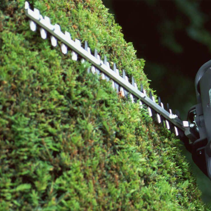 Honda Benzin Heckenschere HHH 25D 75E - Jetzt Honda bei kaisers.jetzt