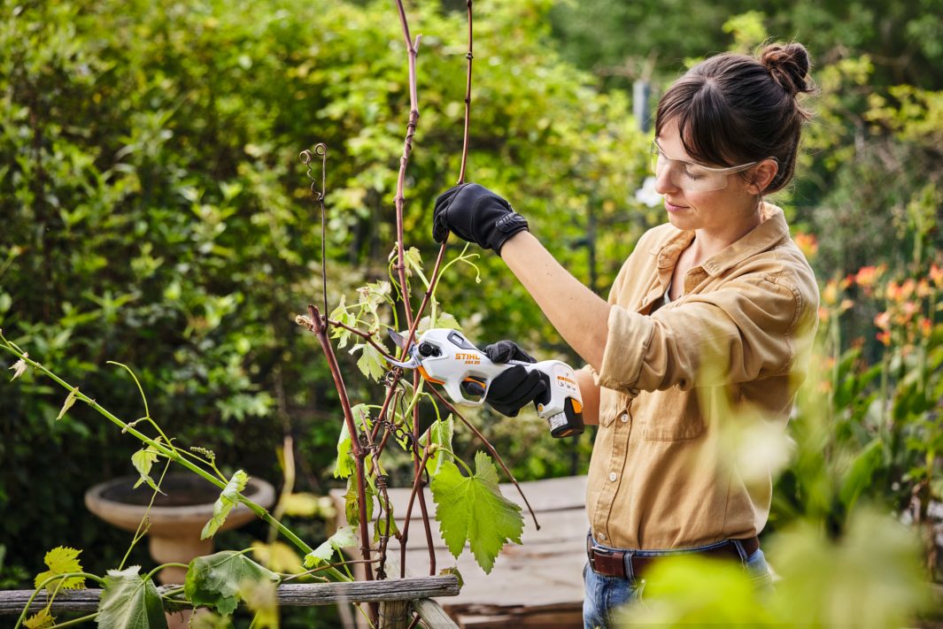 Stihl Akku-Astschere ASA 20 inkl. Akku und Ladegerät - Jetzt Stihl bei kaisers.jetzt