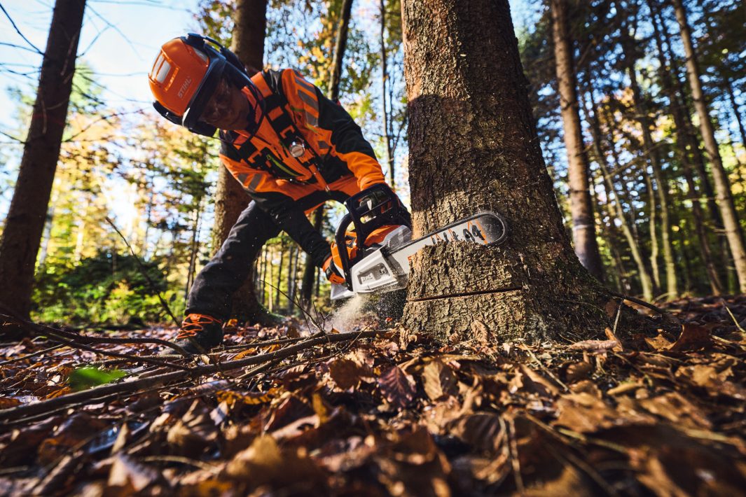 STIHL MSA 260.0 C-O W Akku-Motorsäge