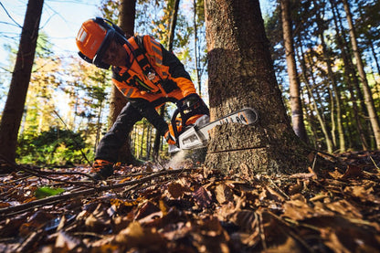 STIHL MSA 260.0 C-O W Akku-Motorsäge