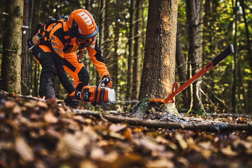 STIHL MSA 260.0 C-O W Akku-Motorsäge