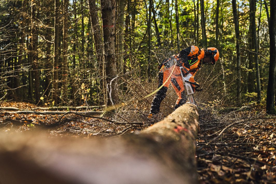 STIHL MSA 260.0 C-O W Akku-Motorsäge